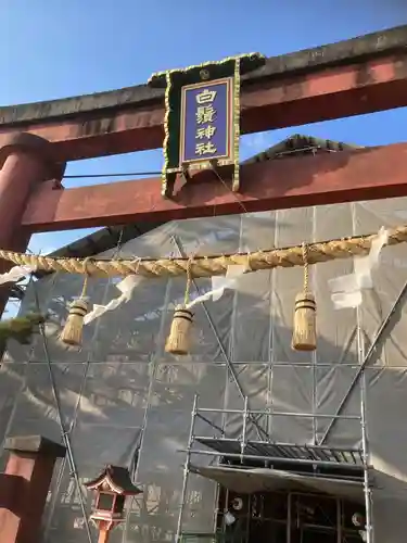 白鬚神社(滋賀県)