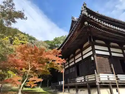 根来寺(和歌山県)