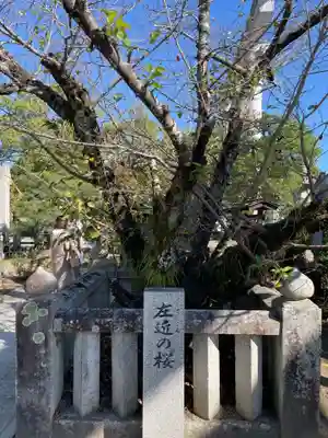 田村神社(香川県)