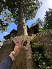 三峯神社(埼玉県)