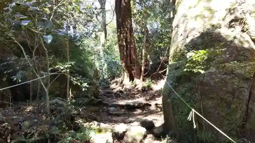阿波々神社の自然