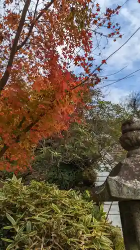 三室戸寺(京都府)