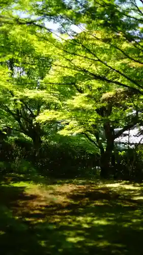 三千院門跡(京都府)