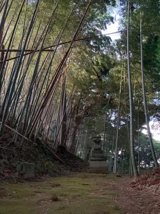 諏訪大神(千葉県)