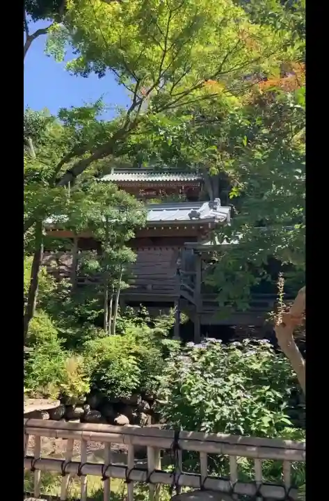 深大寺(東京都)