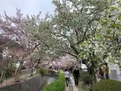 紫雲山 大泉寺の自然