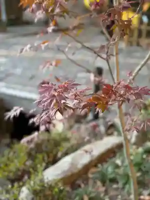 諏訪大社下社秋宮(長野県)