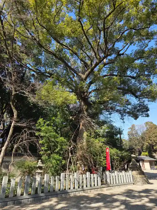 富部神社(愛知県)