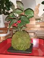 伏木香取神社(茨城県)