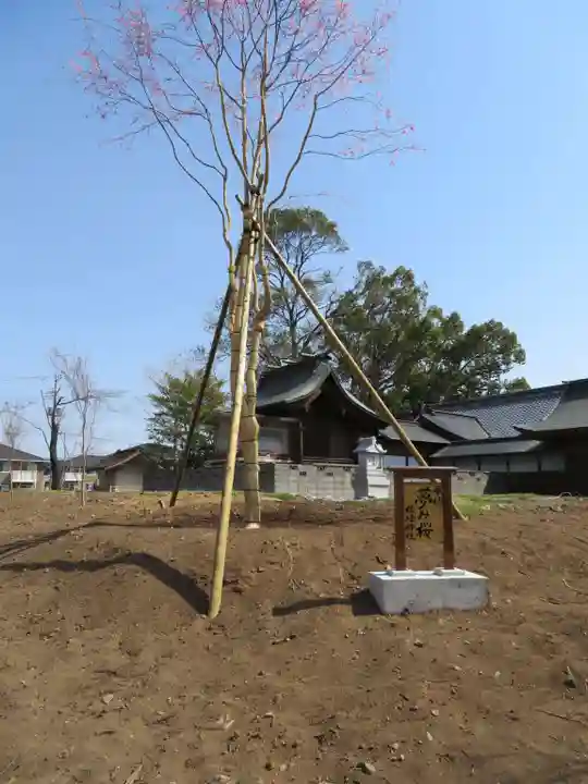 美和神社の自然