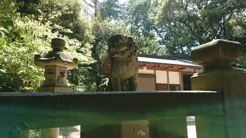 諏訪神社の狛犬