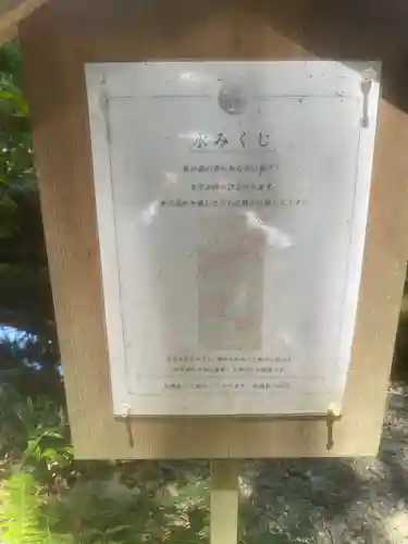 泉神社のおみくじ