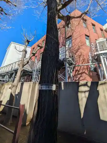 橋戸稲荷神社(東京都)