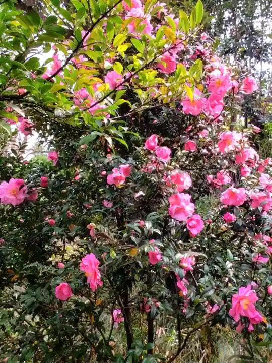 白金氷川神社(東京都)