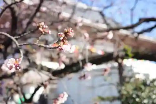 西新井大師総持寺の自然