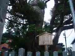 八幡神社の建物その他