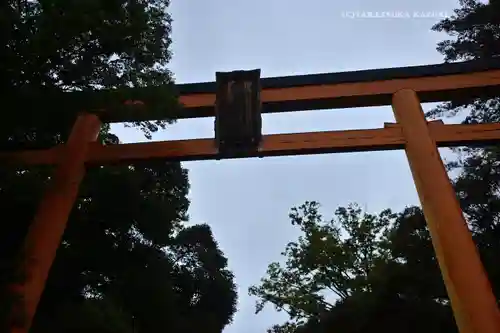 川越氷川神社(埼玉県)
