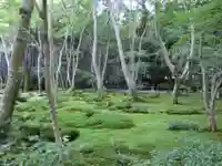 祇王寺(京都府)