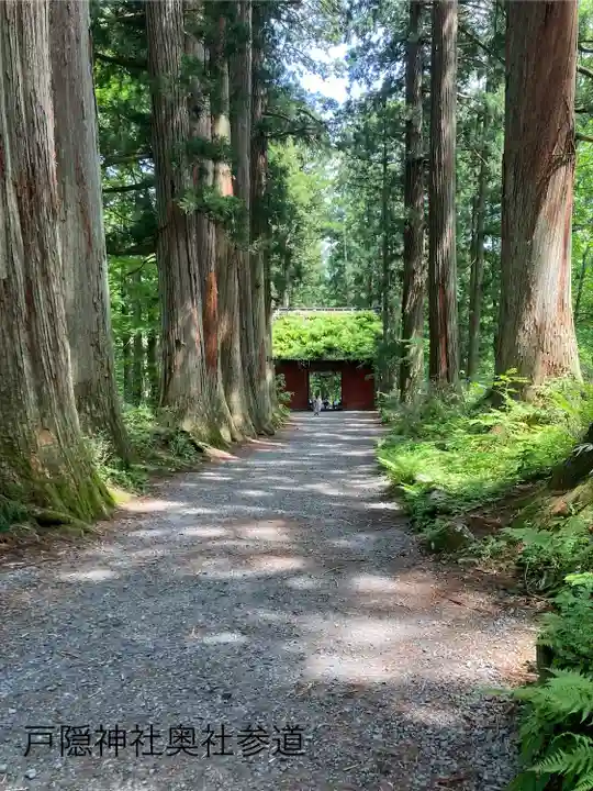 戸隠神社奥社(長野県)