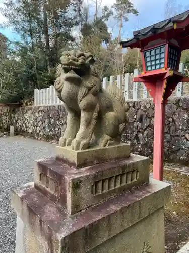 吉田神社の狛犬