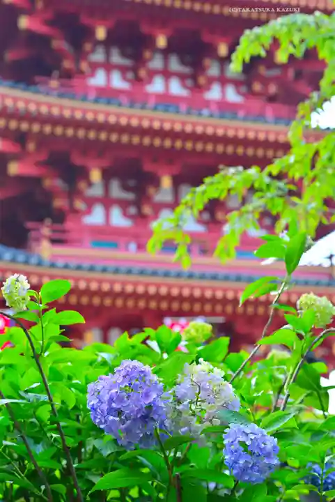 高幡不動尊 金剛寺(東京都)