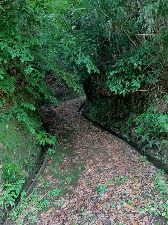 諏訪神社の周辺