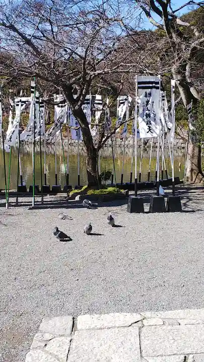 鶴岡八幡宮の動物