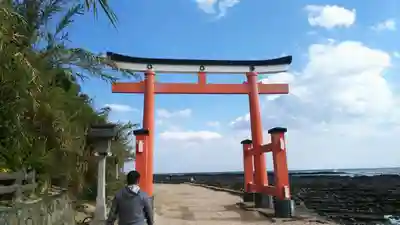 青島神社(青島神宮)の鳥居