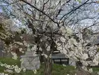 王子神社の{uncategorized: "未分類", other: "その他", undefined: "問題あり", building: "その他建物", grave: "お墓", sacred_gate: "鳥居", guardian: "狛犬", statue: "像", buddha: "仏像", history: "歴史", nature: "自然", garden: "庭園", animal: "動物", pagoda: "塔", temizu: "手水舎", mountain_gate: "山門・神門", sanctuary: "本殿・本堂", subordinate: "末社・摂社", art: "芸術", scenery: "景色", jizo: "地蔵", ema: "絵馬", goshuin: "御朱印", omikuji: "おみくじ", items: "授与品その他", amulet: "お守り", goshuincho: "御朱印帳", eats: "食事", festival: "お祭り", votive_dance: "神楽", shichigosan: "七五三参", wedding: "結婚式", experience: "体験その他", initially: "初詣", around: "周辺", anti_infection: "感染症対策"}