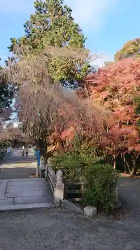 園城寺（三井寺）の建物その他