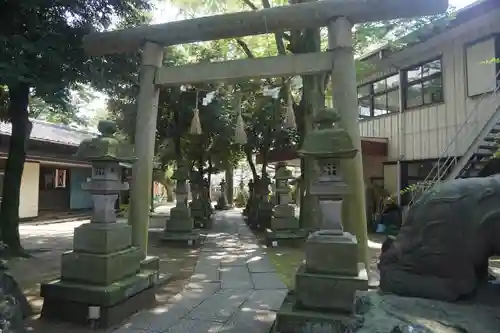 今井神社の鳥居