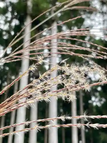 壇上伽藍の自然