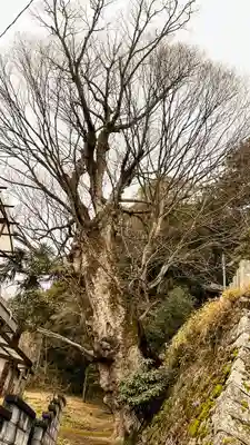 小夫天神社(奈良県)