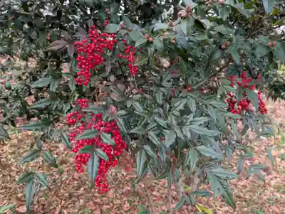 阿久津「田村神社」（郡山市阿久津町）旧社名：伊豆箱根三嶋三社(福島県)