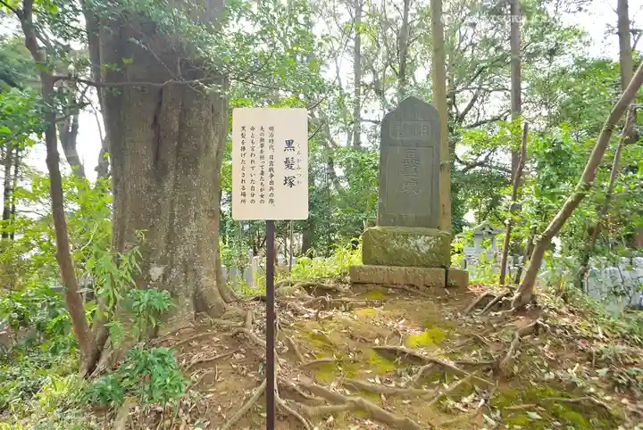 柴崎神社(千葉県)