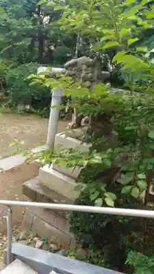 小岩神社の狛犬