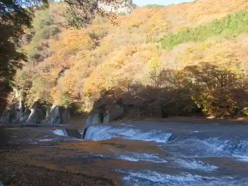 浮島観音堂の自然