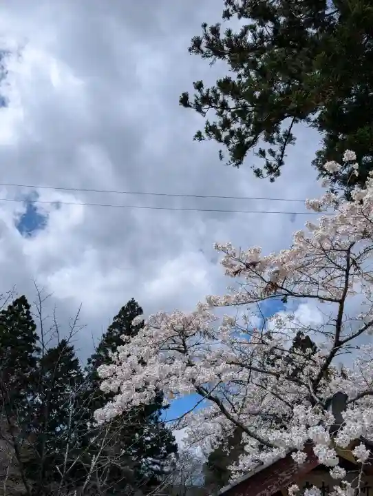 正一位 若草稲荷神社の{uncategorized: "未分類", other: "その他", undefined: "問題あり", building: "その他建物", grave: "お墓", sacred_gate: "鳥居", guardian: "狛犬", statue: "像", buddha: "仏像", history: "歴史", nature: "自然", garden: "庭園", animal: "動物", pagoda: "塔", temizu: "手水舎", mountain_gate: "山門・神門", sanctuary: "本殿・本堂", subordinate: "末社・摂社", art: "芸術", scenery: "景色", jizo: "地蔵", ema: "絵馬", goshuin: "御朱印", omikuji: "おみくじ", items: "授与品その他", amulet: "お守り", goshuincho: "御朱印帳", eats: "食事", festival: "お祭り", votive_dance: "神楽", shichigosan: "七五三参", wedding: "結婚式", experience: "体験その他", initially: "初詣", around: "周辺", anti_infection: "感染症対策"}