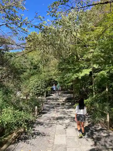 龍安寺(京都府)