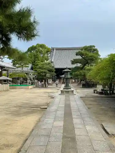 葛井寺(大阪府)