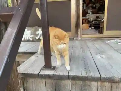 一心寺・一心禅寺(愛知県)