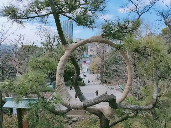 清水観音堂(東京都)