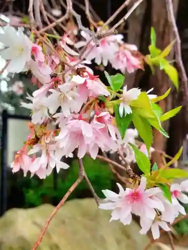 妙法寺(東京都)