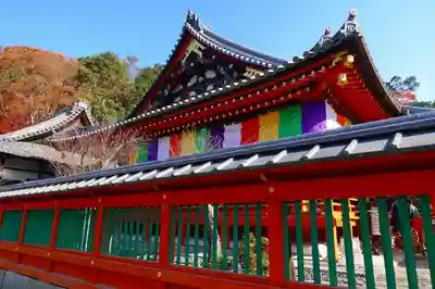 毘沙門堂門跡の本殿・本堂