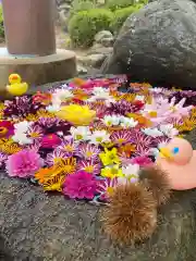 大鏑神社の手水