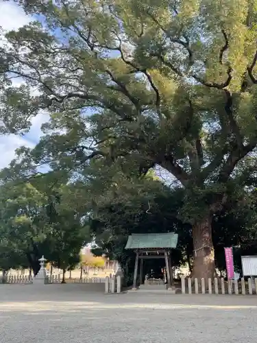 曽禰神社(大阪府)