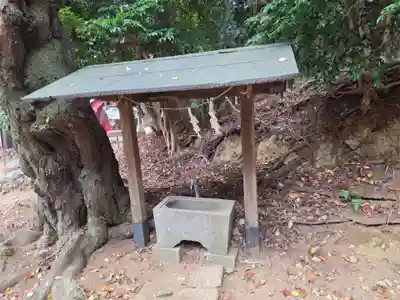 吉田杉山神社(神奈川県)