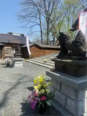 札幌諏訪神社の狛犬