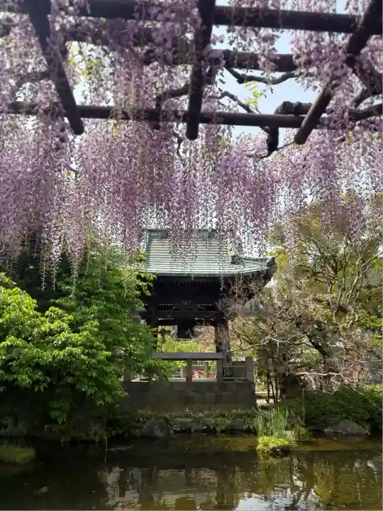 西新井大師総持寺(東京都)