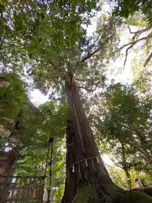 須佐神社(島根県)